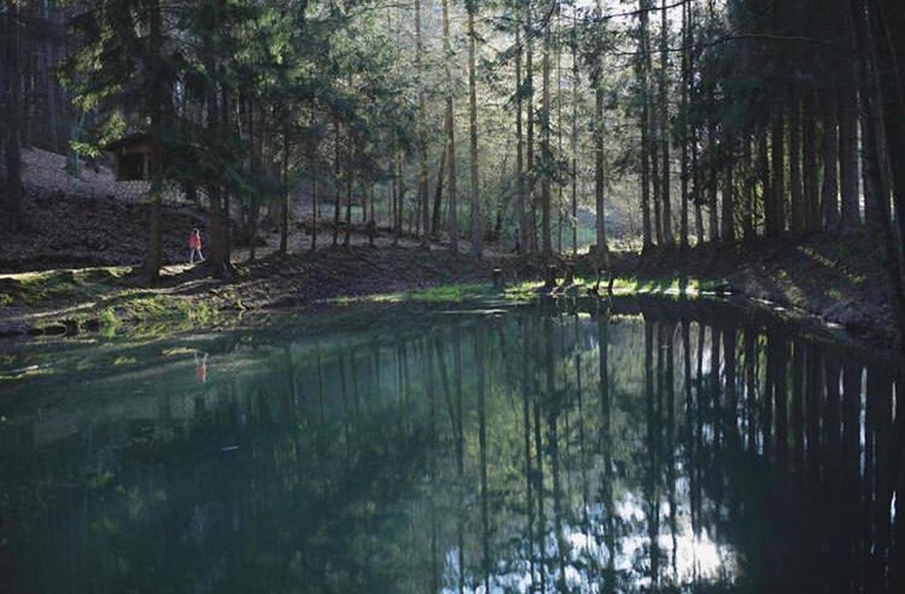 Ferienhaus "Schmetterling" Am See Im Bergland キルヒハイム エクステリア 写真